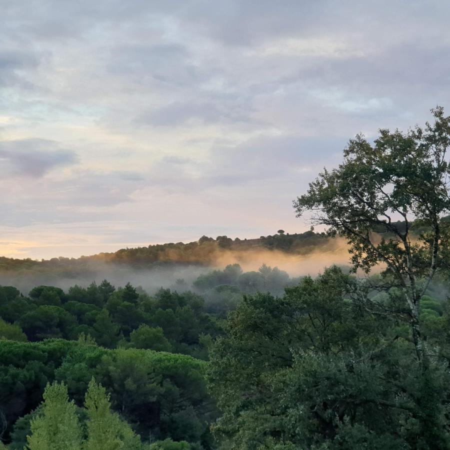 Charmant Studio Proche Lac Et Foret Carcassonne Exterior foto