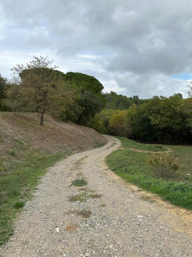 Charmant Studio Proche Lac Et Foret Carcassonne Exterior foto